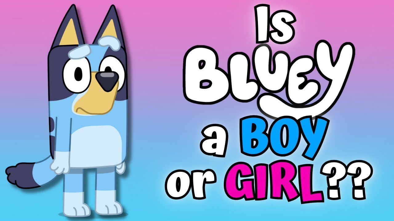 is bluey a boy or a girl